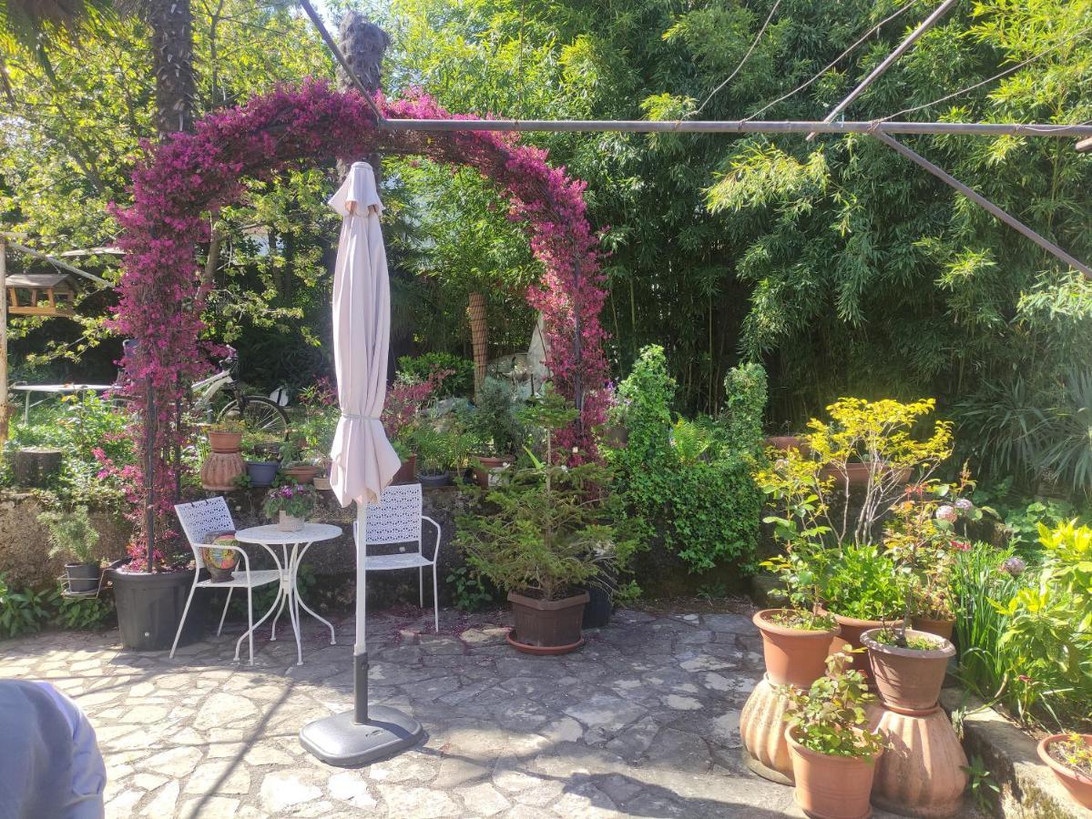 Apartment Valenta 포레치 외부 사진