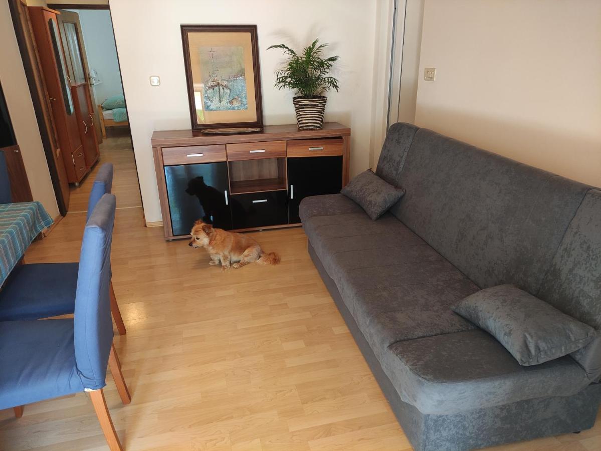 Apartment Valenta 포레치 외부 사진
